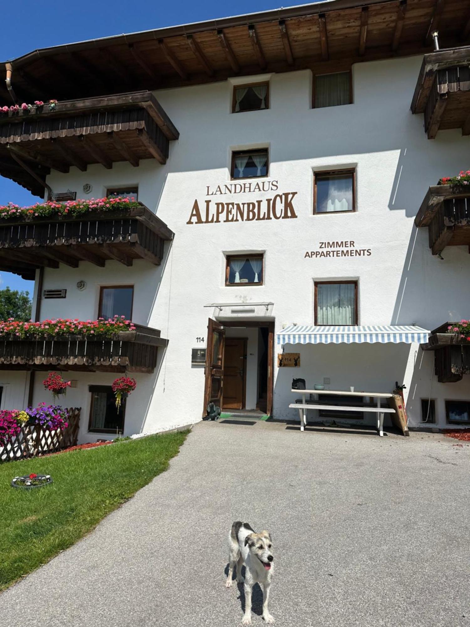 Landhaus Alpenblick Obsteig Exteriör bild